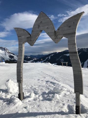 Mühlbach am Hochkönig Tauernlodge Sonnblick Top 3 מראה חיצוני תמונה